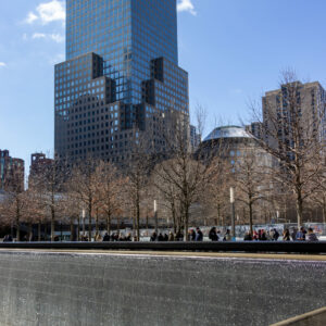 Concrete jungle by Camille Massida Photography